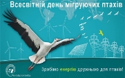 14 травня - Всесвітній день мігруючих птахів. | ЯВІР